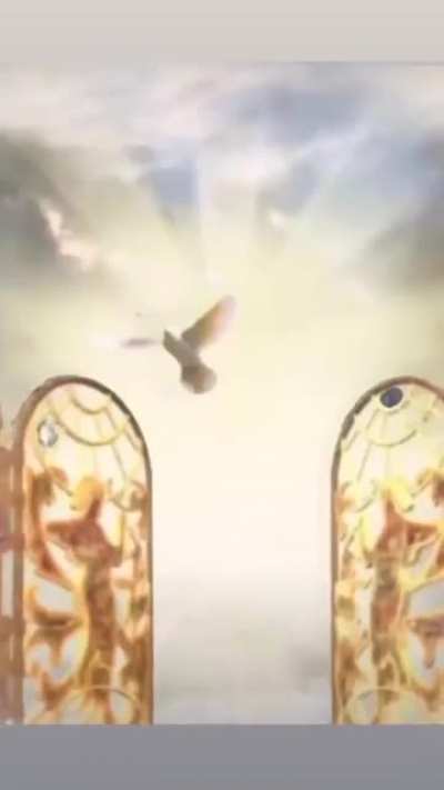 RIP