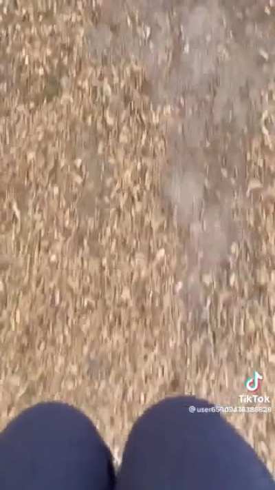 @user65909476386828 (formerly @penelope_739) #2