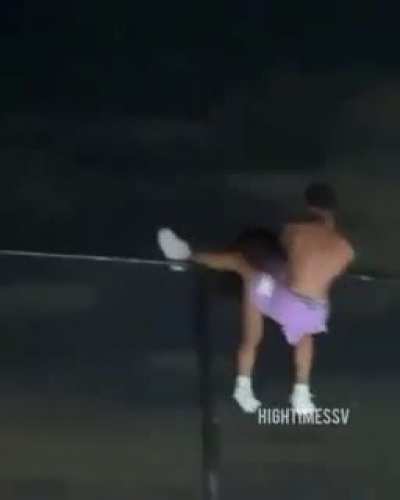 Los Chimpancés son muy impresionantes :0