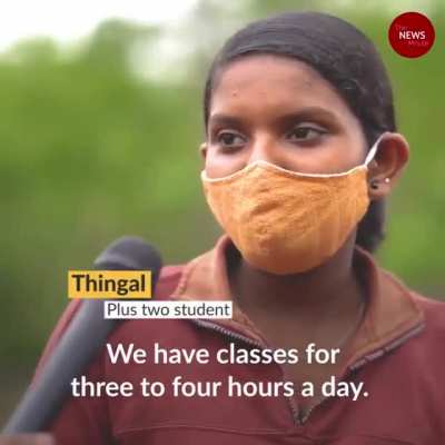 These children from Idukki have to climb a hill and cross an electric fence so they can reach an area with 4G range to attend online classes.