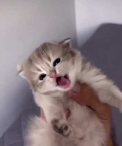 i was told to post this here