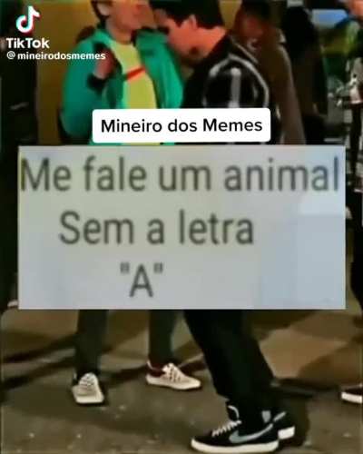 Boi, Bode, Ouri&ccedil;o e Crocodilo 