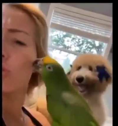 Jealous pawww