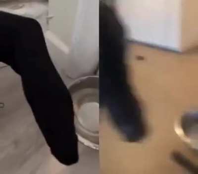 sock