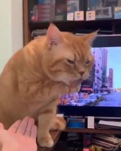 Caption this