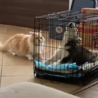 Who&rsquo;s the jerk here?
