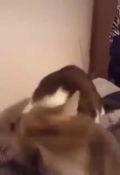 WTF, Karen‽