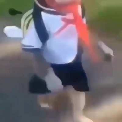 the anime monke