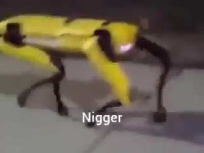 The perfect robot doesn't exis-😳