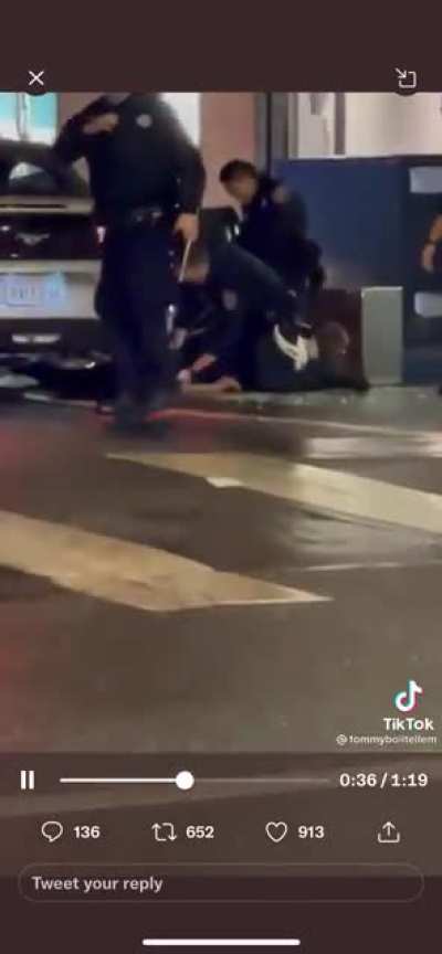 Police pull up on one of the Louis Vuitton robbers *satisfying*