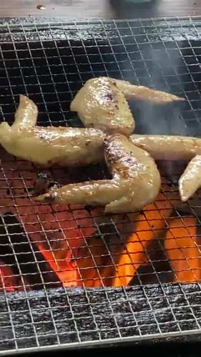 Ze wings