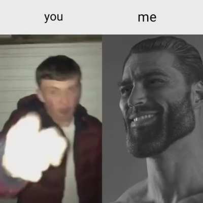 No caption needed