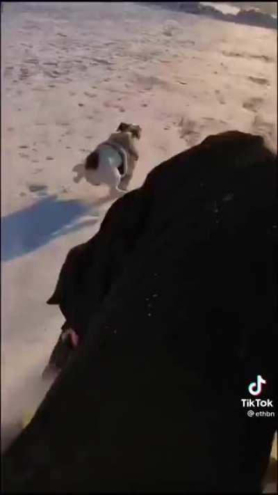 Let&rsquo;s have a race!