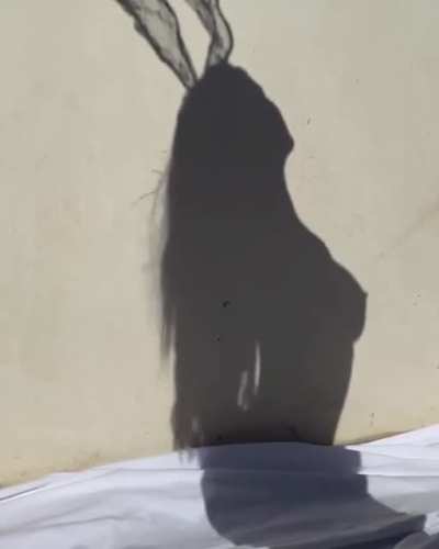 Nude Shadow