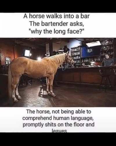 Virgin human vs. Chad horse