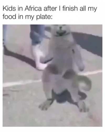 They do be vibing tho