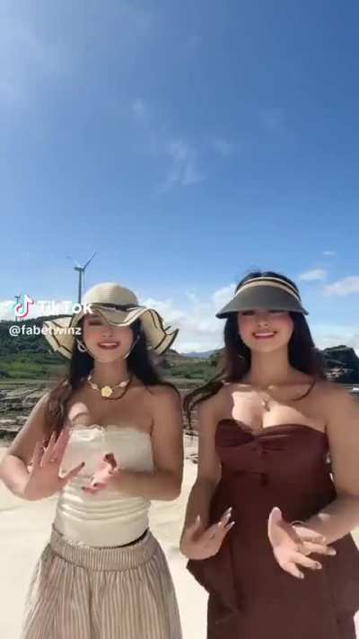Fabe twins