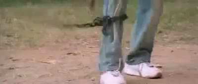 Yaaru stunt master ithuku ?😂