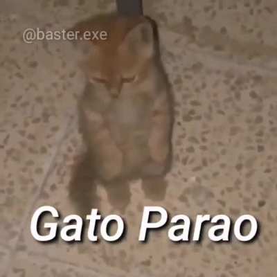 Eres tu Miguel?