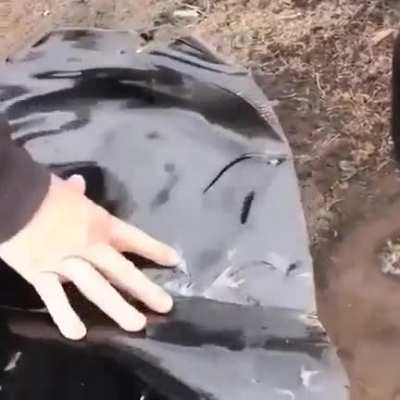 Big shiny rock, boys.