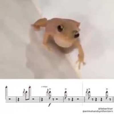 test post please ignore