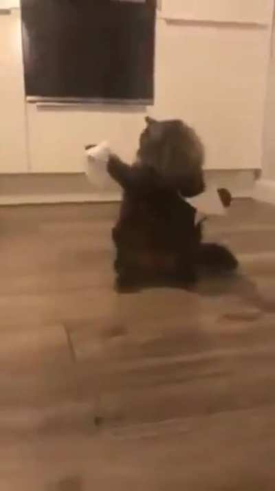 spl&Ouml;rt