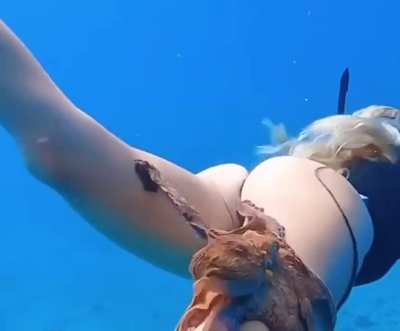Nature is beautiful