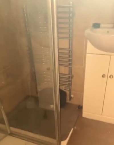She thought a bird broke into her house but it was actually a cat.