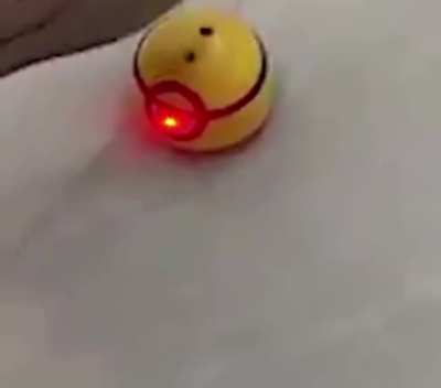 me when r/okbuddyretard moderators try to ban me for using the P word 🤣😋😎👊🏼!!!