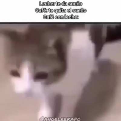 bug