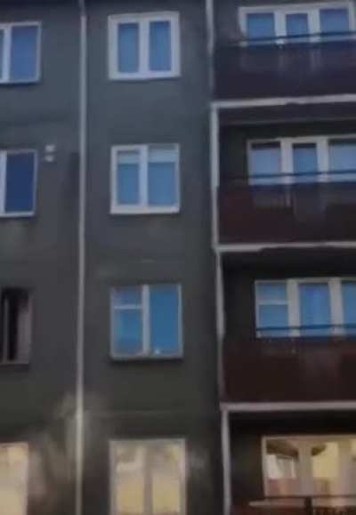 Спайдербелки