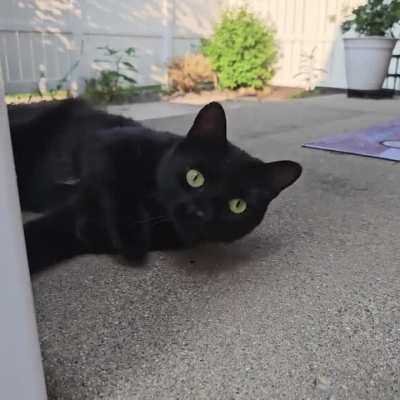 Happy Void