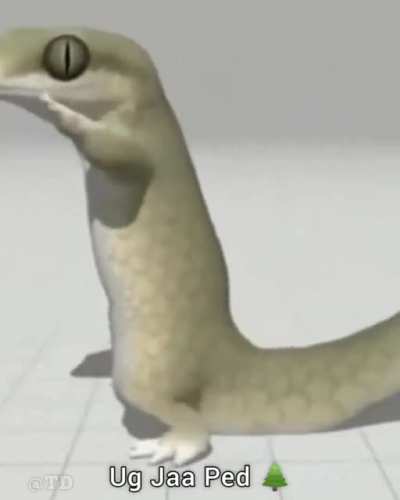 .....