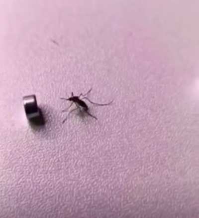 Maybe Maybe Maybe