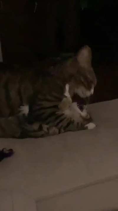 don&rsquo;t ask what happened