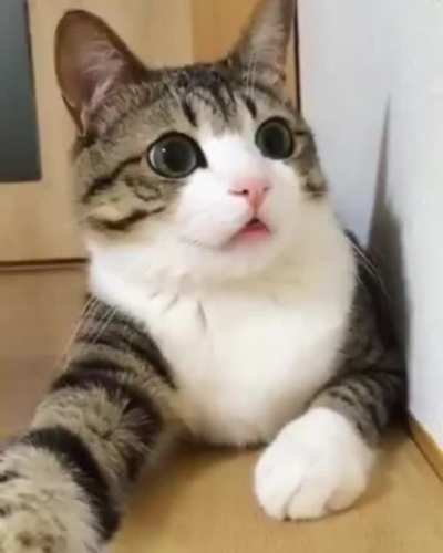 He be trippin'