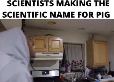 Pig science