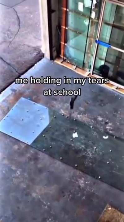 me_irl
