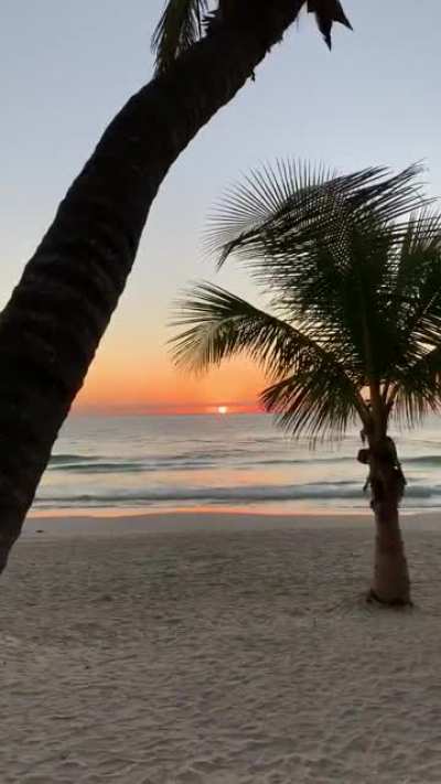 sunset
