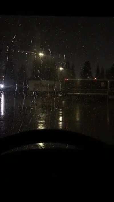 Being serenaded As I wait for the work truck to get unloaded. Los Angeles, CA.