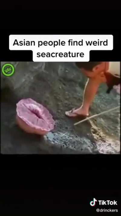 funny
