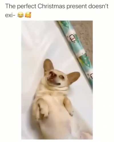 The perfect gift
