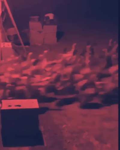 Eu achei o v&iacute;dio, e editei, o que acho?