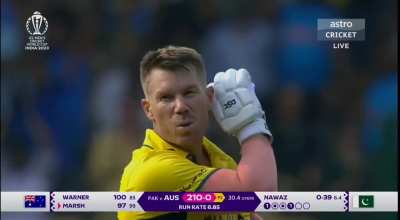 David warner's pushpa celebration 