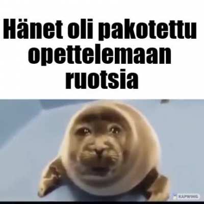 min&auml; irl