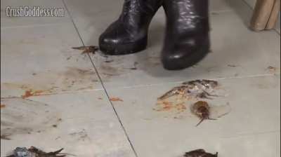 Jocelyn crush crd in boots
