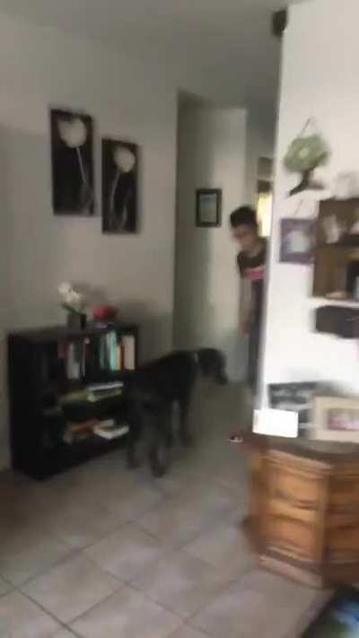 ABU-