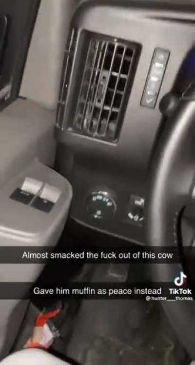 Living his best life