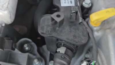 Focus 1.0 Ecoboost 125cv mk4 2018.
