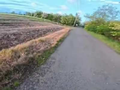 The chances of a rabbit kicking you off your scooter are incredibly low&hellip; but never zero